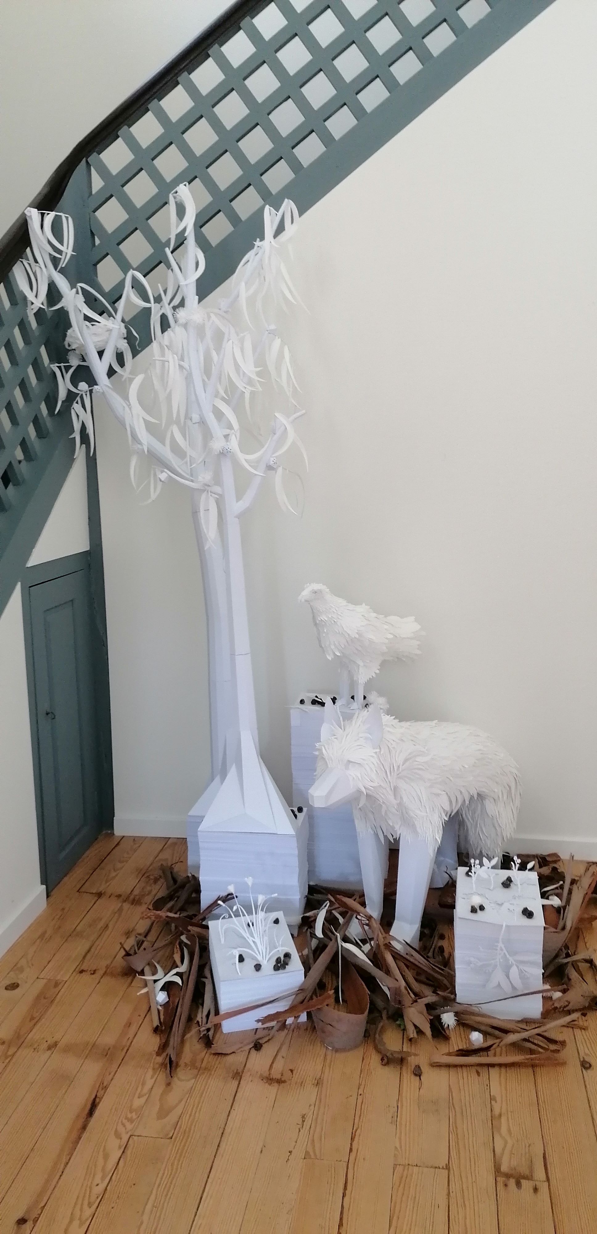 A Floresta do Saber tem uma nova exposição