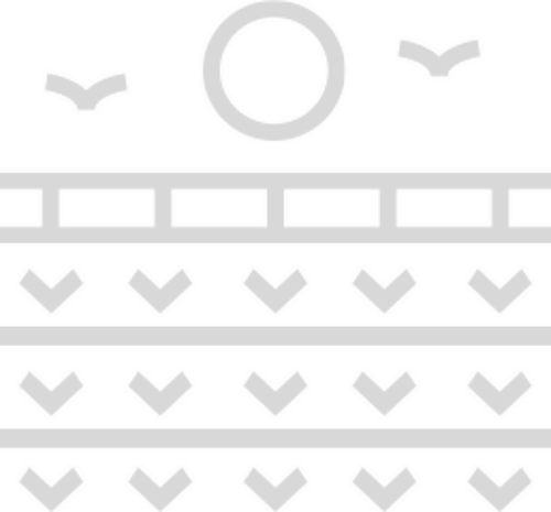 campo@3x.png