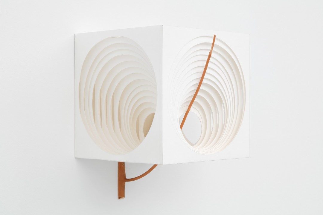 capa_295179