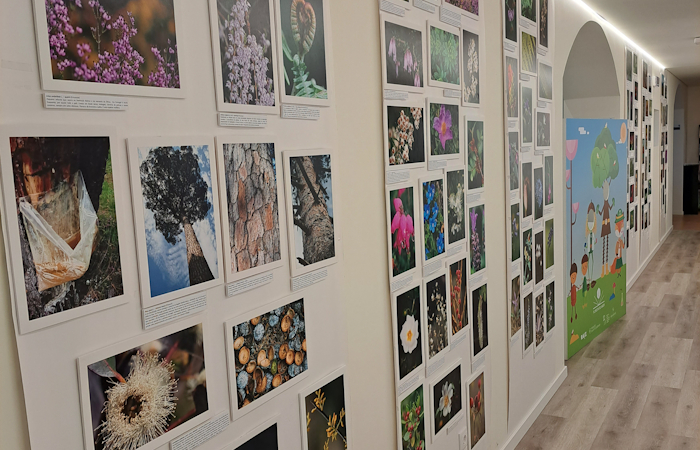 Exposições (2).jpg