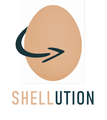 shellution-2.png